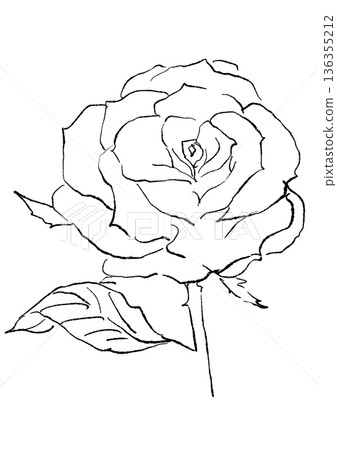 手繪線條藝術插圖，描繪了一朵盛開的粉紅色玫瑰花 136355212