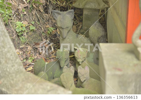 [神奈川] 橫須賀 - 德壽院的守護狐狸 136356613