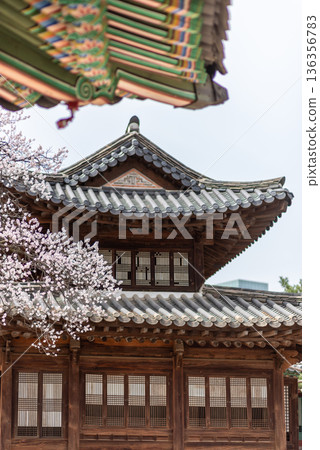 Traditional korean hanok pavilion with cherry blossoms in spring Traditional korean hanok pavilion with cherry blossoms in spring 136356783