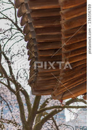 Traditional wooden roof eaves close-up with spring tree Traditional wooden roof eaves close-up with spring tree 136356789