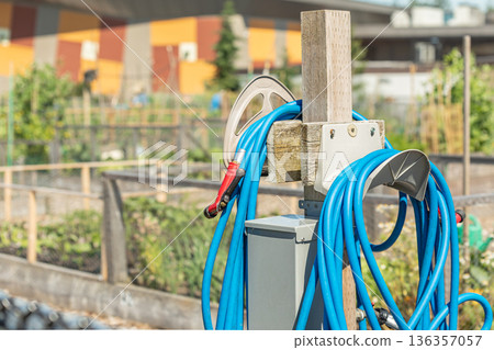 Blue color hose water pipe hanging on a mount in green garden. 136357057