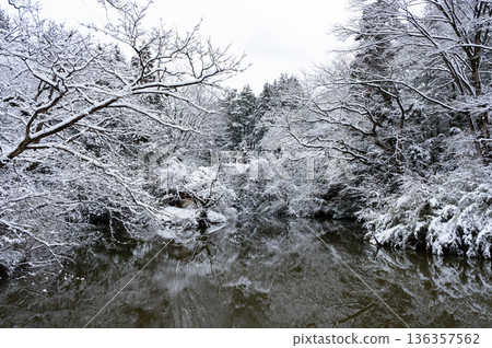 Winter scenery at Mujina Pond in Jikecho (photographed on February 8, 2026) 136357562