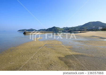 Tateiwa Beach, Matsuyama City, Ehime Prefecture 136357868