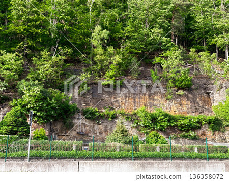 a high stone wall with trees growing on it. Spring vacation 136358072