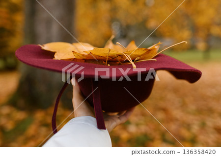 Yellow leaves in a woolen burgundy hat in the autumn forest Yellow leaves in a woolen burgundy hat in the autumn forest 136358420