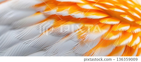 Close-up of water droplets on a surface, creating a textured and abstract background. 136359009