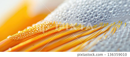 Close-up of water droplets on a surface, creating a textured and abstract background. Close-up of water droplets on a surface, creating a textured and abstract background. 136359010