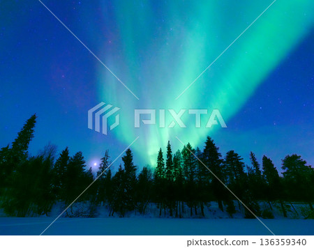 Panoramic horizontal view of the aurora borealis dancing over a snowy forest in Scandinavia. 136359340