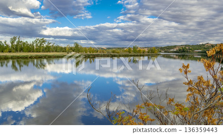 Riberas de Castronuno- Vega del Duero Natural Reserve, Spain 136359443