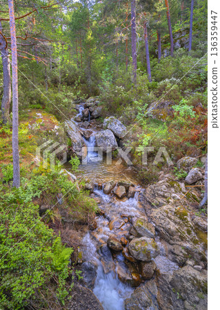 Laguna Negra y Circos Glaciares de Urbion Natural Park, Spain 136359447
