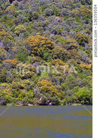 Arribes del Duero Natural Park, Spain Arribes del Duero Natural Park, Spain 136359504