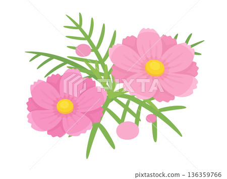 Cute cosmos illustration material Cute cosmos illustration material 136359766
