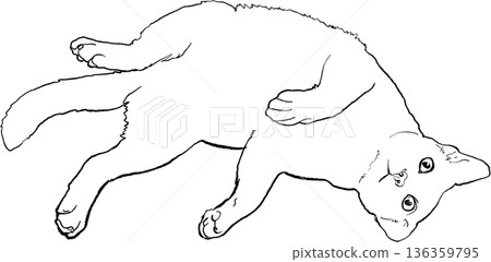 Drawing animal hand drawn cat outline lying relaxed minimal line art illustration black contour Drawing animal hand drawn cat outline lying relaxed minimal line art illustration black contour 136359795