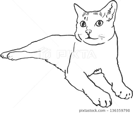 Hand drawn animal drawing cat outline simple black line art relaxed pose 136359798