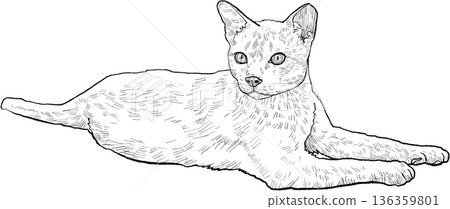 Drawing animal hand drawn cat lying relaxed line art illustration on transparency background playful mood Drawing animal hand drawn cat lying relaxed line art illustration on transparency background playful mood 136359801