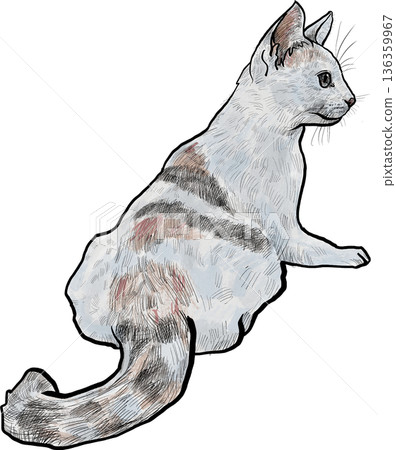 Drawing animal hand drawn cat illustration with textured fur and curled tail in soft pastel color sketch style profile view 136359967
