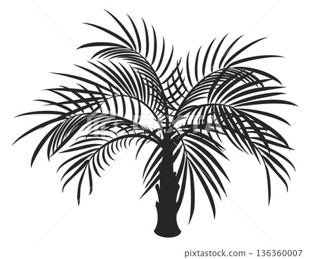 Palm fronds black icon. Exotic rainforest branch Palm fronds black icon. Exotic rainforest branch 136360007