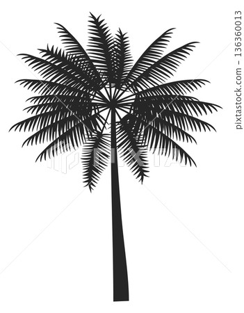 Palm black silhouette. Exotic jungle tree icon Palm black silhouette. Exotic jungle tree icon 136360013