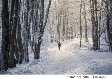A person is walking through a snowy forest A person is walking through a snowy forest 136360829