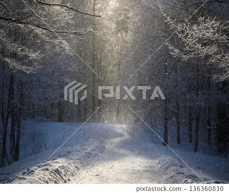 A snowy path with trees in the background A snowy path with trees in the background 136360830