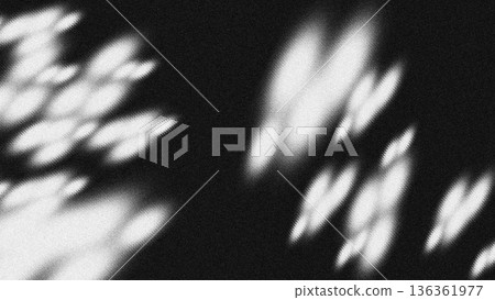 Soft Light Particle Flow Soft Light Particle Flow 136361977