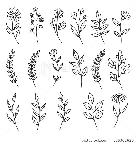 Set of hand drawn leaves, branches, flowers, flourishes. Design element for banner, sign, poster, decoration. Vector illustration Set of hand drawn leaves, branches, flowers, flourishes. Design element for banner, sign, poster, decoration. Vector illustration 136362626