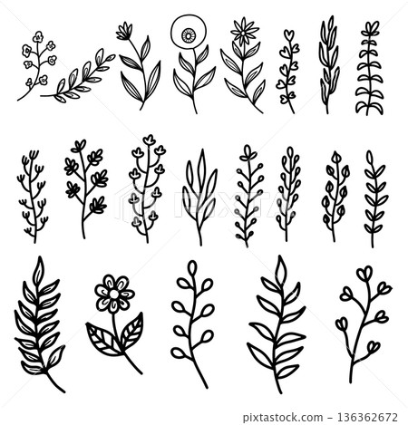 Set of hand drawn leaves, branches, flowers, flourishes. Design element for banner, sign, poster, decoration. Vector illustration Set of hand drawn leaves, branches, flowers, flourishes. Design element for banner, sign, poster, decoration. Vector illustration 136362672