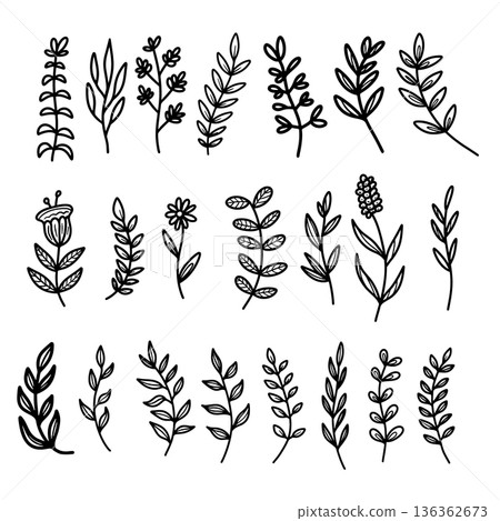 Set of hand drawn leaves, branches, flowers, flourishes. Design element for banner, sign, poster, decoration. Vector illustration Set of hand drawn leaves, branches, flowers, flourishes. Design element for banner, sign, poster, decoration. Vector illustration 136362673