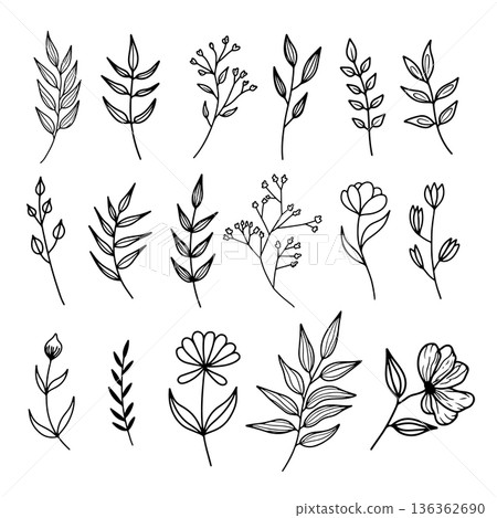 Set of hand drawn leaves, branches, flowers, flourishes. Design element for banner, sign, poster, decoration. Vector illustration 136362690