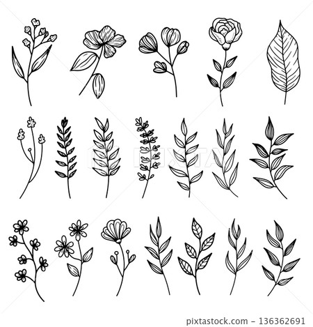 Set of hand drawn leaves, branches, flowers, flourishes. Design element for banner, sign, poster, decoration. Vector illustration 136362691