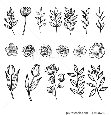 Set of hand drawn leaves, branches, flowers, flourishes. Design element for banner, sign, poster, decoration. Vector illustration 136362692