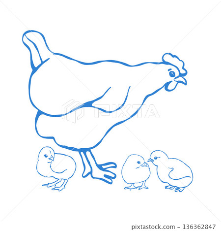 Hen with chicks in outline style. Vector isolated blue clip art. Farm birds. Linear Easter illustration, simple drawing in blue. Hen with chicks in outline style. Vector isolated blue clip art. Farm birds. Linear Easter illustration, simple drawing in blue. 136362847
