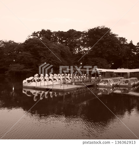 Boat dock and tranquil waterfront scenery at Inokashira Pond Boat dock and tranquil waterfront scenery at Inokashira Pond 136362913