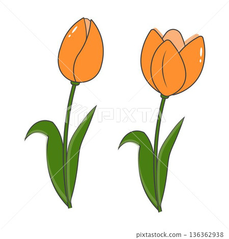 Tulip Blossom Clipart Spring Floral Design Tulip Blossom Clipart Spring Floral Design 136362938