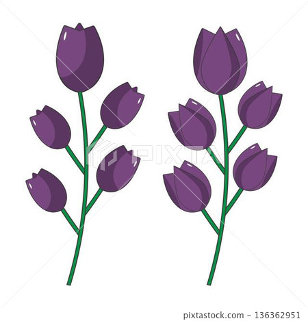 Tulip Blossom Clipart Spring Floral Design 136362951