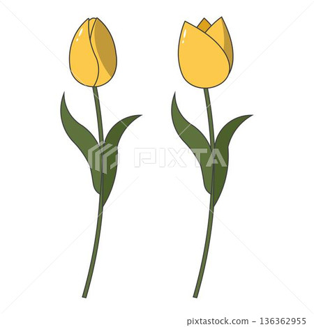 Tulip Blossom Clipart Spring Floral Design Tulip Blossom Clipart Spring Floral Design 136362955