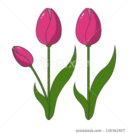 Tulip Blossom Clipart Spring Floral Design 136362957