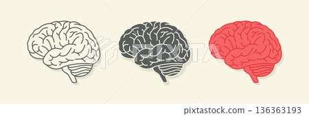 Human brain icon set for medical and mental health design vector illustration. Human brain icon set for medical and mental health design vector illustration. 136363193