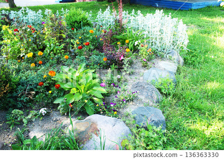 Summer flower bed with different colors. Decoration of flower beds 136363330