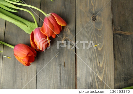 Tulips on a Wooden Background in gray. Template for Card Concept Spring Eighth of March Women's Day Tulips on a Wooden Background in gray. Template for Card Concept Spring Eighth of March Women's Day 136363370
