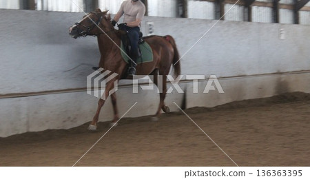Horse training on a covered area. Equestrian sports Horse training on a covered area. Equestrian sports 136363395