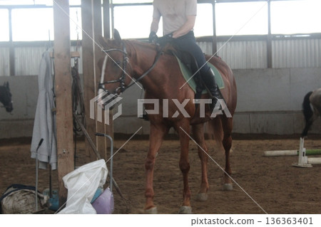 The guy is sitting on horseback. Medium plan 136363401