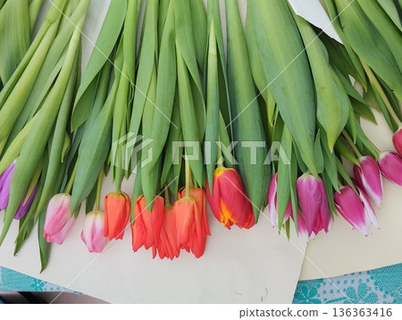 Sorting flowers, tulips by flowers, preparation for the formation of bouquets and sale. Flower Festival 136363416