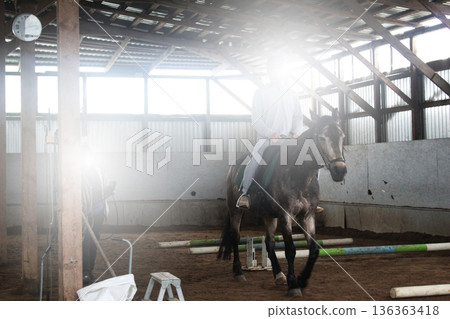 Horseback riding. Hippotherapy. Horse rid 136363418