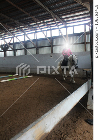 The horse gallops around the arena. White Horse The horse gallops around the arena. White Horse 136363419