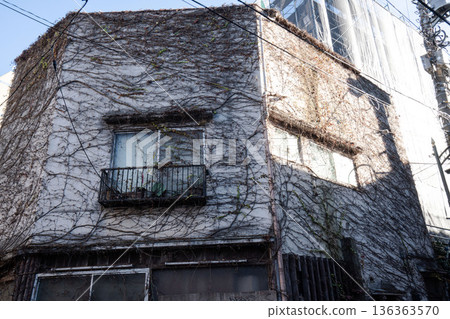 A creepy house overgrown with weeds A creepy house overgrown with weeds 136363570
