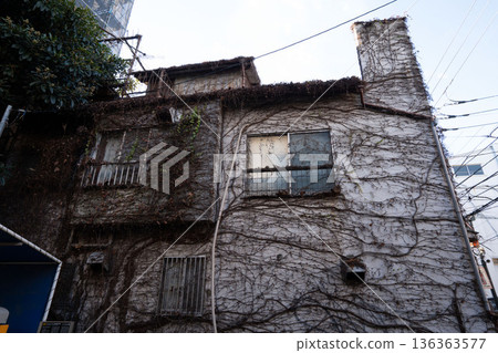 A creepy house overgrown with weeds 136363577