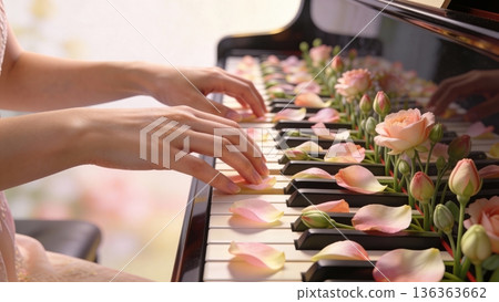 Close-up of hands playing a piano sprinkled with soft pink rose blooms and petals 136363662