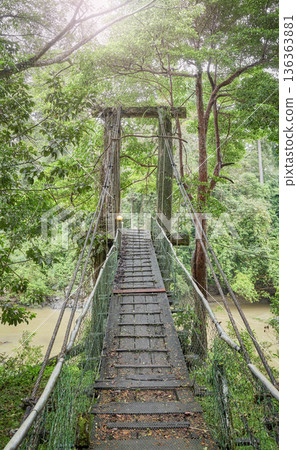 Bridge over the river in the jungle of Danum Valley, Borneo, Malaysia. Bridge over the river in the jungle of Danum Valley, Borneo, Malaysia. 136363881