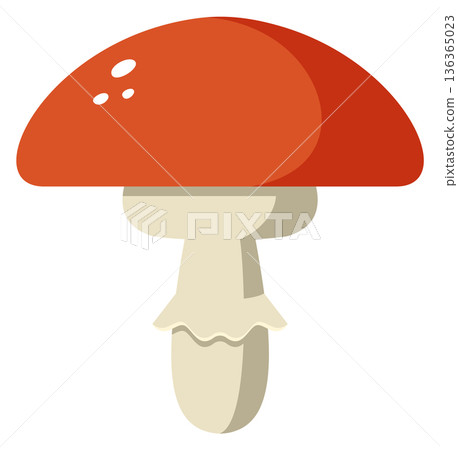 Poison mushroom cartoon icon. Toxic wild fungus Poison mushroom cartoon icon. Toxic wild fungus 136365023